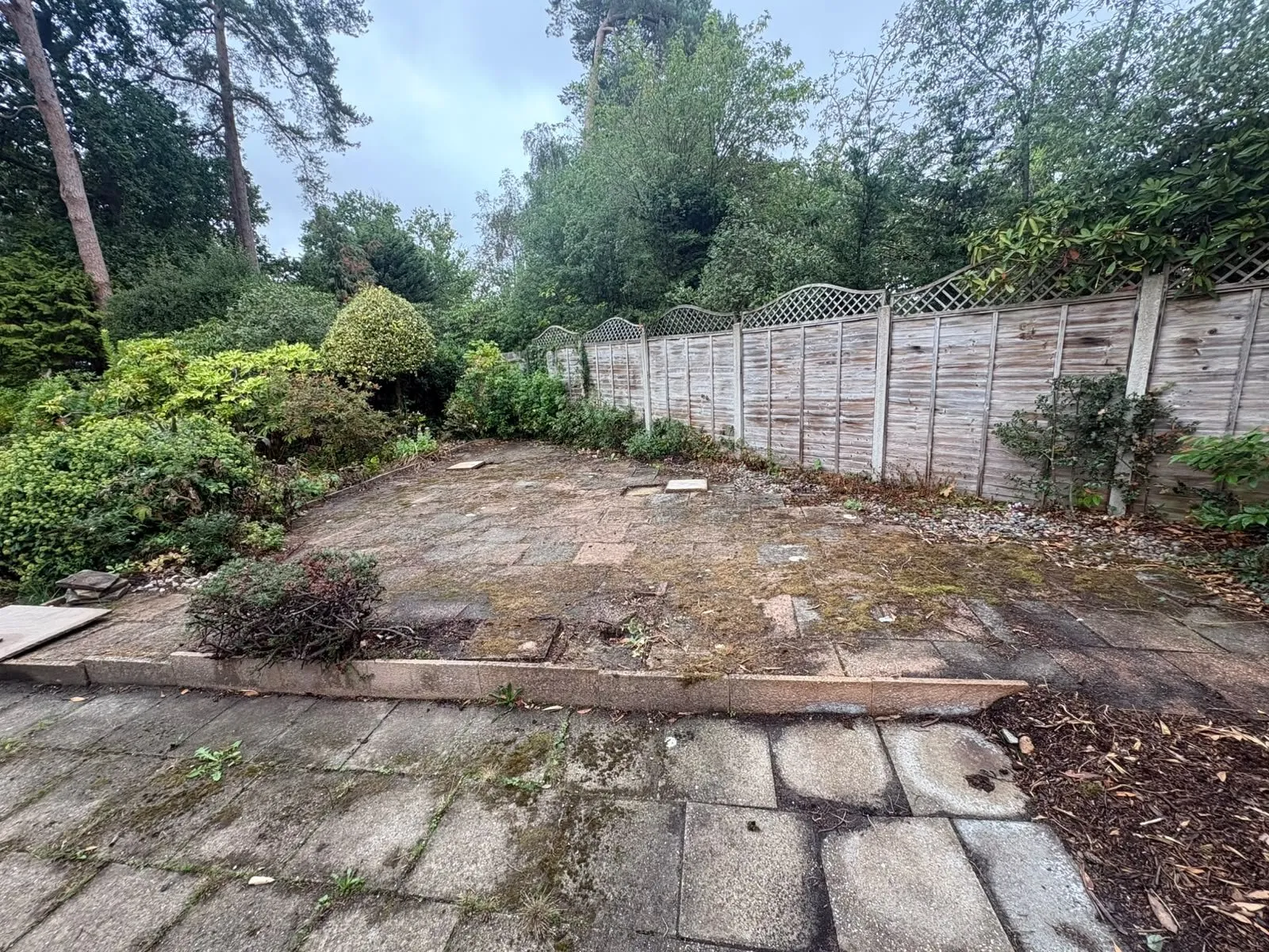 Old, moss-covered paving in the Camberley garden before the transformation